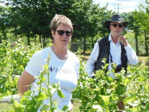 Brigid Forrest Tour 3