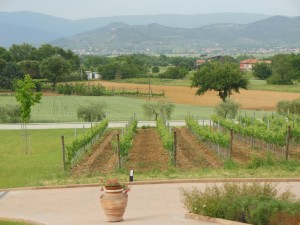 Umbria and Southern Tuscany Wine Tour 3 Baldetti
