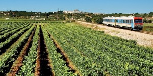 I Pastini with train