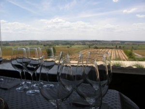 Valduero tasting room view