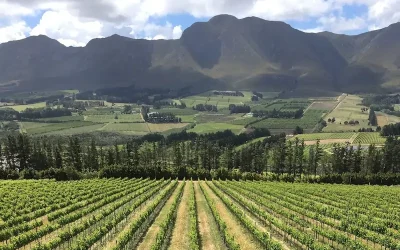 South African update