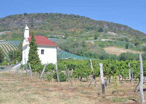 Teddington Wine Society explores Eastern Europe