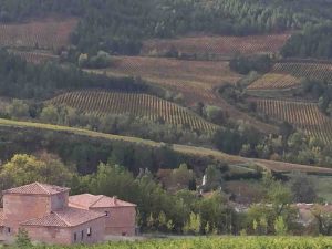 Teddington Wine Society - Languedoc and Roussillon @ St Mary's Parish Hall