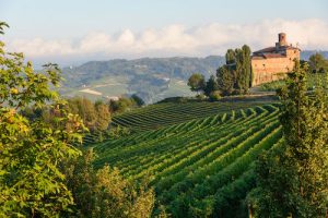 Teddington and Richmond Wine Societies - Piedmont's amazing quality and diversity @ by Zoom