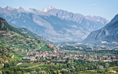 Swiss wine – let’s go!