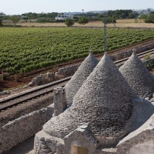 Teddington Wine Society - Southern Italy, from Lazio to Puglia @ St Mary's Parish Hall